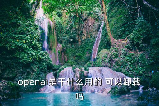 openAI 中文，openstack怎么讀中文標(biāo)注