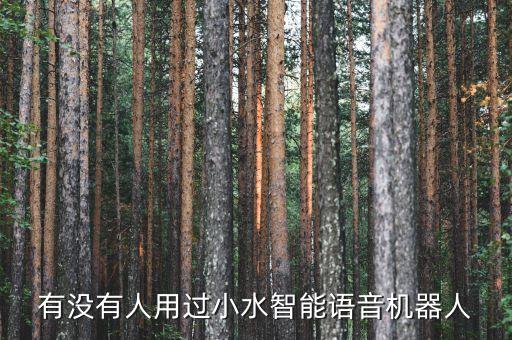 有沒有人用過小水智能語音機器人