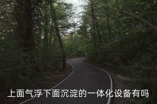 上面氣浮下面沉淀的一體化設備有嗎