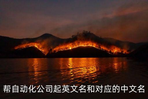 幫自動化公司起英文名和對應(yīng)的中文名