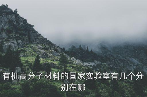 有機高分子材料的國家實驗室有幾個分別在哪