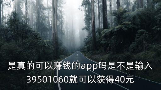 是真的可以賺錢的app嗎是不是輸入39501060就可以獲得40元