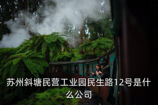 蘇州斜塘民營(yíng)工業(yè)園民生路12號(hào)是什么公司