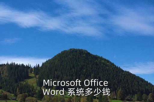 Microsoft Office Word 系統(tǒng)多少錢
