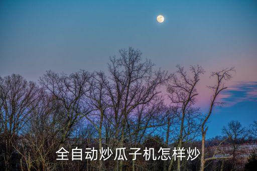 炒瓜子機器怎么炒瓜子，滾筒式炒貨機炒瓜子怎么炒求解答