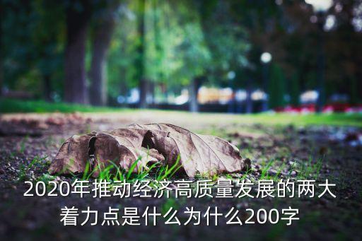 推動(dòng)高質(zhì)量發(fā)展的論文題目，2020年推動(dòng)經(jīng)濟(jì)高質(zhì)量發(fā)展的兩大著力點(diǎn)是什么為什么200字