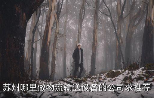 蘇州哪里做物流輸送設(shè)備的公司求推薦