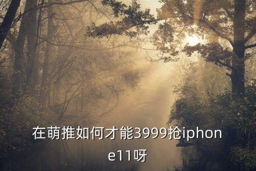 在萌推如何才能3999搶iphone11呀