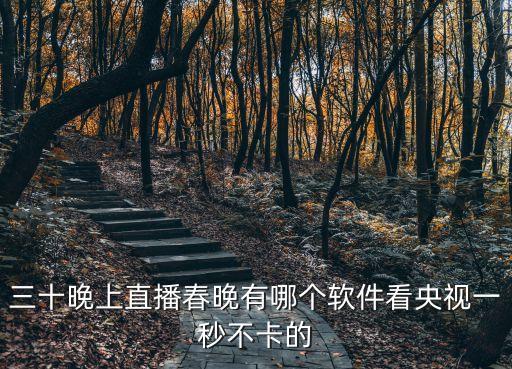 三十晚上直播春晚有哪個(gè)軟件看央視一秒不卡的
