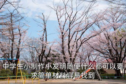 中學(xué)生小制作小發(fā)明隨便什么都可以要求簡單材料容易找到