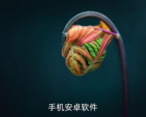 手機安卓軟件