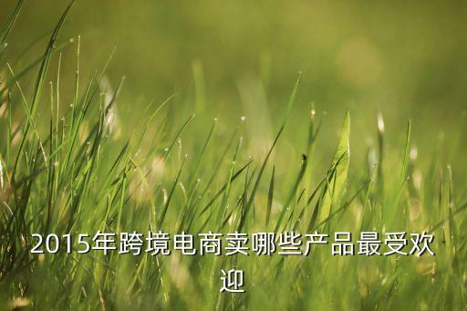 2015年跨境電商賣哪些產(chǎn)品最受歡迎