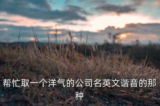 幫忙取一個(gè)洋氣的公司名英文諧音的那種