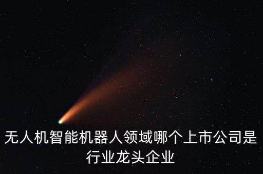 機(jī)器人行業(yè)龍頭公司，國(guó)內(nèi)做機(jī)器人的龍頭企業(yè)有哪些