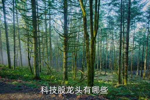 科技股龍頭有哪些