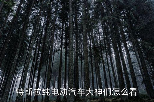 特斯拉純電動汽車，特斯拉純電動汽車