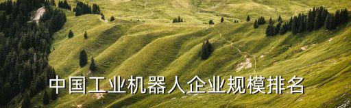 中國工業(yè)機(jī)器人企業(yè)規(guī)模排名
