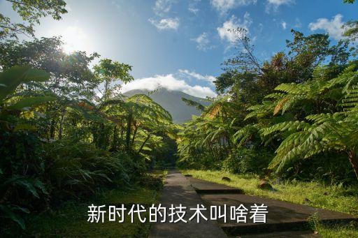 新時代的技術(shù)叫啥著