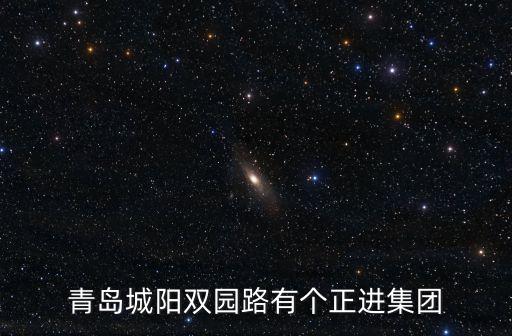 青島城陽(yáng)雙園路有個(gè)正進(jìn)集團(tuán)
