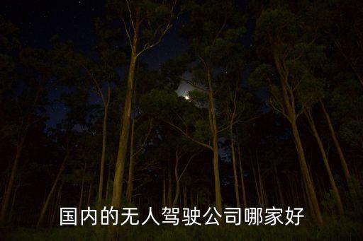 國內(nèi)的無人駕駛公司哪家好