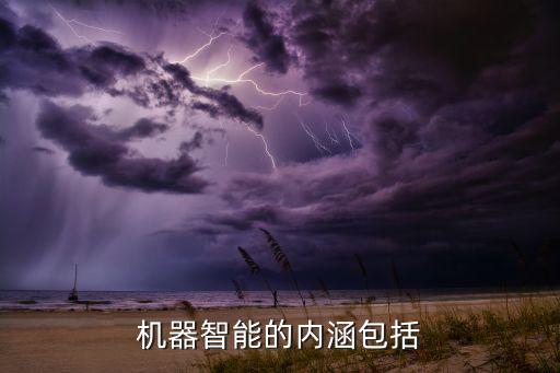 機器智能的含義和特點，機器智能的內(nèi)涵包括
