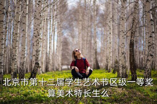 北京市第十二屆學生藝術(shù)節(jié)區(qū)級一等獎算美術(shù)特長生么