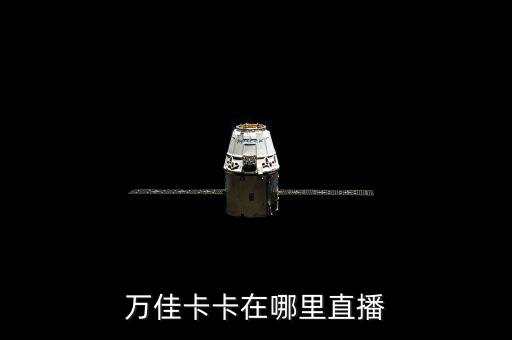 萬(wàn)佳網(wǎng)紅卡卡，萬(wàn)佳最火的網(wǎng)紅是瑤瑤還是卡卡