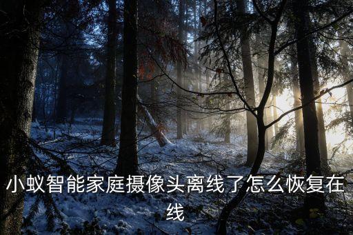 智能設(shè)備離線怎么解決，SmartPSS設(shè)備離線怎么辦