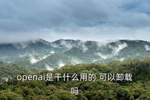 openai是干什么用的 可以卸載嗎