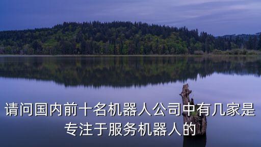智能機(jī)器人行業(yè)排名前十，請問國內(nèi)前十名機(jī)器人公司中有幾家是專注于服務(wù)機(jī)器人的
