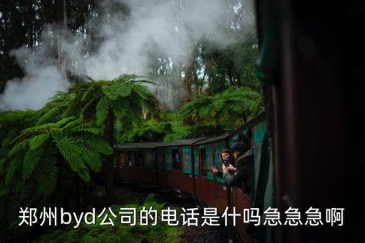 鄭州byd公司的電話是什嗎急急急啊