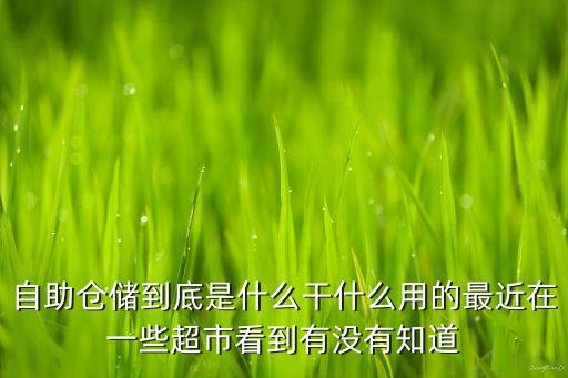 自助倉儲到底是什么干什么用的最近在一些超市看到有沒有知道