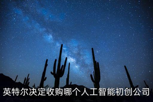 英特爾決定收購(gòu)哪個(gè)人工智能初創(chuàng)公司
