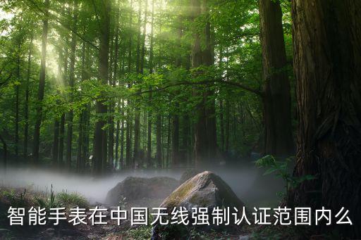 有醫(yī)療認(rèn)證的智能手表，能否推薦個(gè)智能手表可以遠(yuǎn)程查看健康數(shù)據(jù)的在外地工作不放心