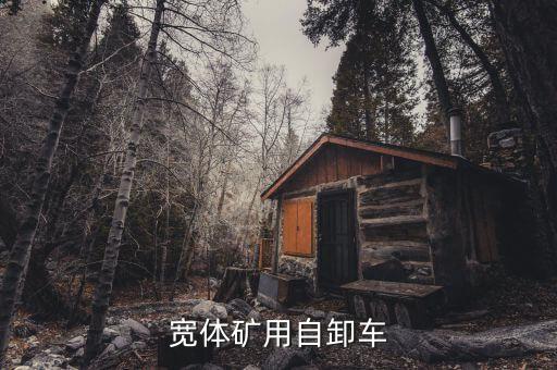 礦山寬體自卸車，中國(guó)礦用寬體自卸車需要那些單位認(rèn)證