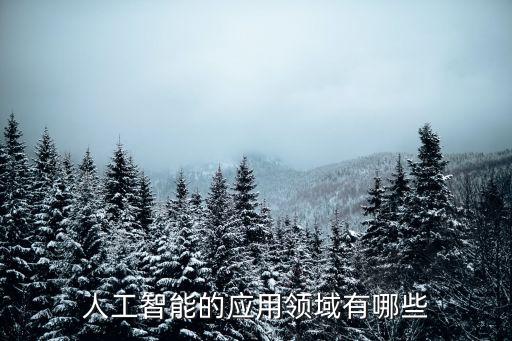 人工智能領(lǐng)域有哪些技術(shù)，人工智能的應(yīng)用領(lǐng)域有哪些