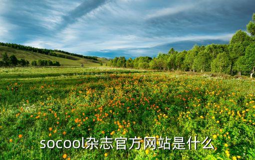 socool雜志官方網(wǎng)站是什么