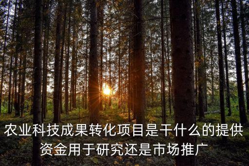 農(nóng)業(yè)科技成果轉(zhuǎn)化項目是干什么的提供資金用于研究還是市場推廣