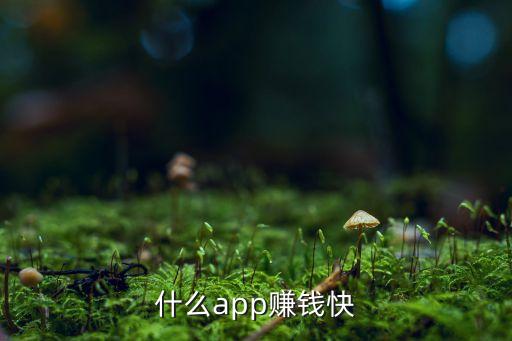 快速賺錢的方法正規(guī)軟件，什么app賺錢快