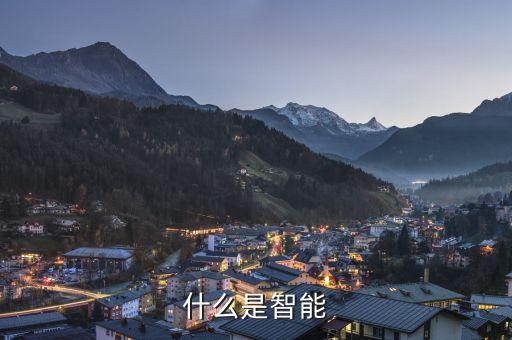 什么是智能