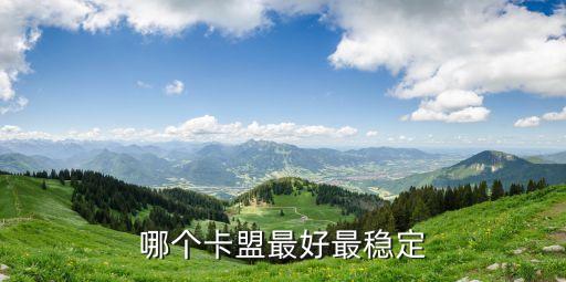 卡盟全網(wǎng)最低價穩(wěn)定卡盟永劫無間，求卡盟推薦啊便宜的穩(wěn)定的