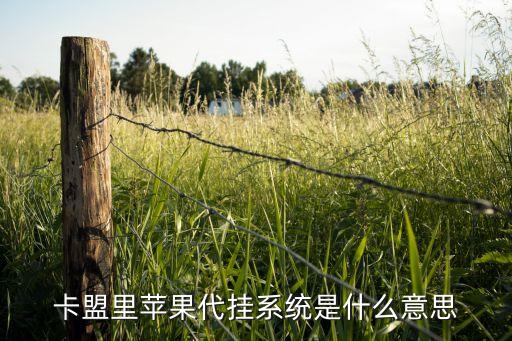 卡盟里蘋果代掛系統(tǒng)是什么意思