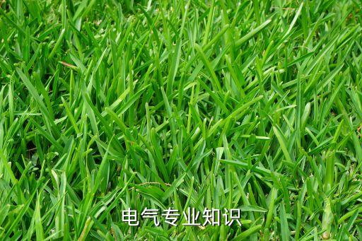 電氣專業(yè)知識(shí)