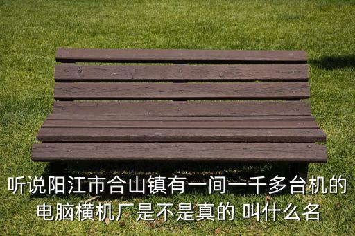 聽說陽江市合山鎮(zhèn)有一間一千多臺機(jī)的電腦橫機(jī)廠是不是真的 叫什么名