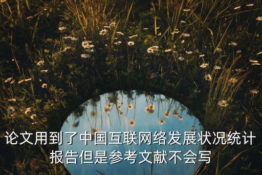 互聯(lián)網(wǎng)發(fā)展文獻(xiàn)參考，論文用到了中國(guó)互聯(lián)網(wǎng)絡(luò)發(fā)展?fàn)顩r統(tǒng)計(jì)報(bào)告但是參考文獻(xiàn)不會(huì)寫