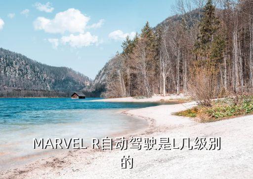 MARVEL R自動(dòng)駕駛是L幾級(jí)別的