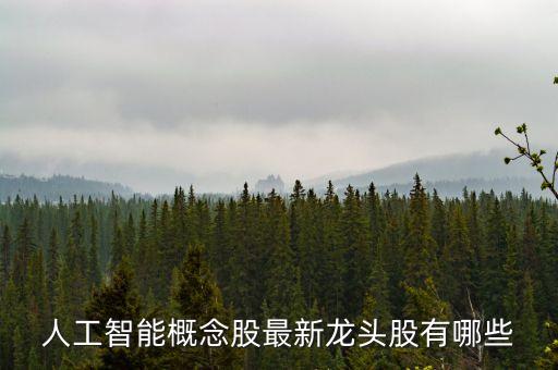 人工智能的股票龍頭有哪些，人工智能概念都有哪些股票