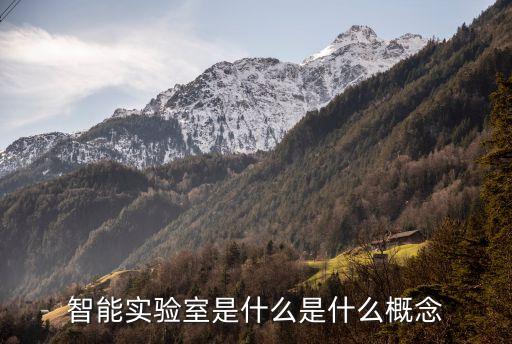 智能實(shí)驗(yàn)室是什么是什么概念