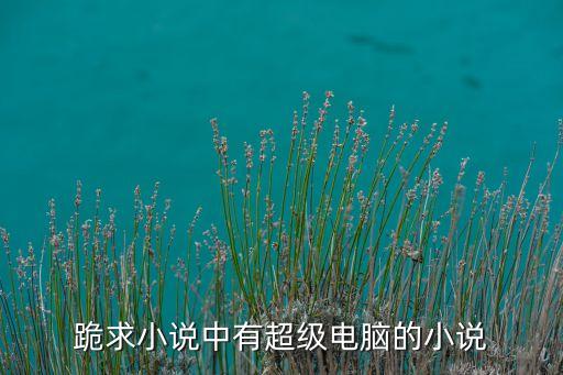 我的雙眼是超級計算機(jī)小說，有沒有一些關(guān)于計算機(jī)的小說然后里面會涉及一點(diǎn)計算機(jī)技術(shù)專門