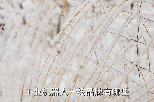 工業(yè)機器人一線品牌有哪些